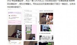 网友爆料飞机视频大全集,飞机视频大全集，空中奇观尽收眼底